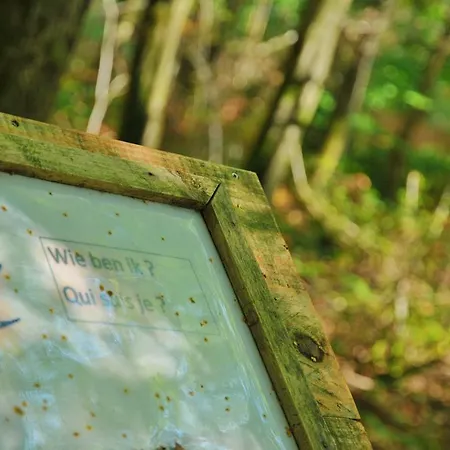 Village De D'oignies Prázdninový areál