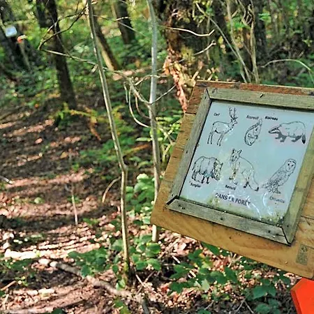 假日公园 Village De D'oignies 3*