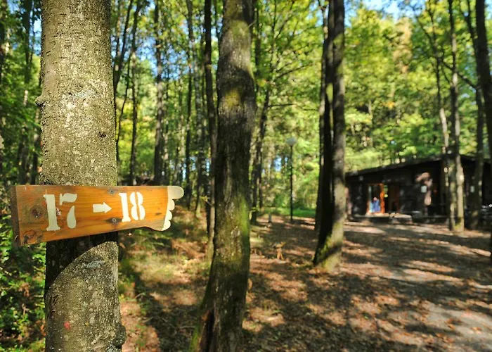 Village De D'oignies 3* Oignies