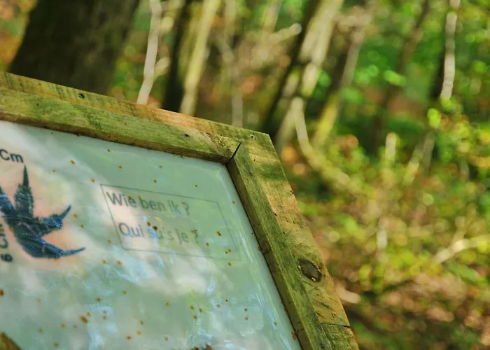 Village De D'oignies Village de vacances