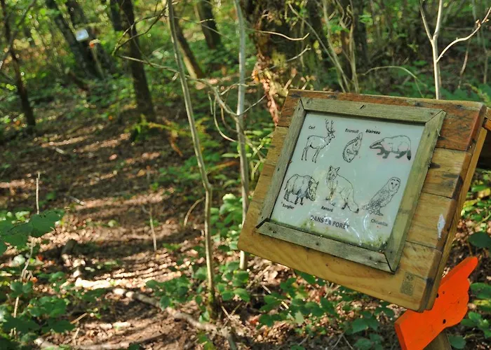 Village De D'oignies Village de vacances Oignies