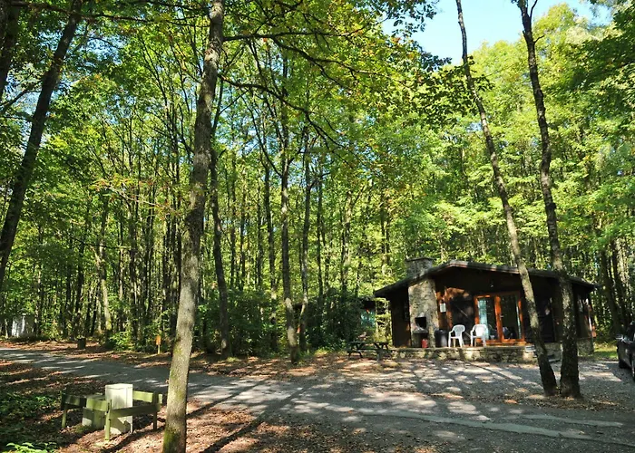 Village De D'oignies Village de vacances Oignies